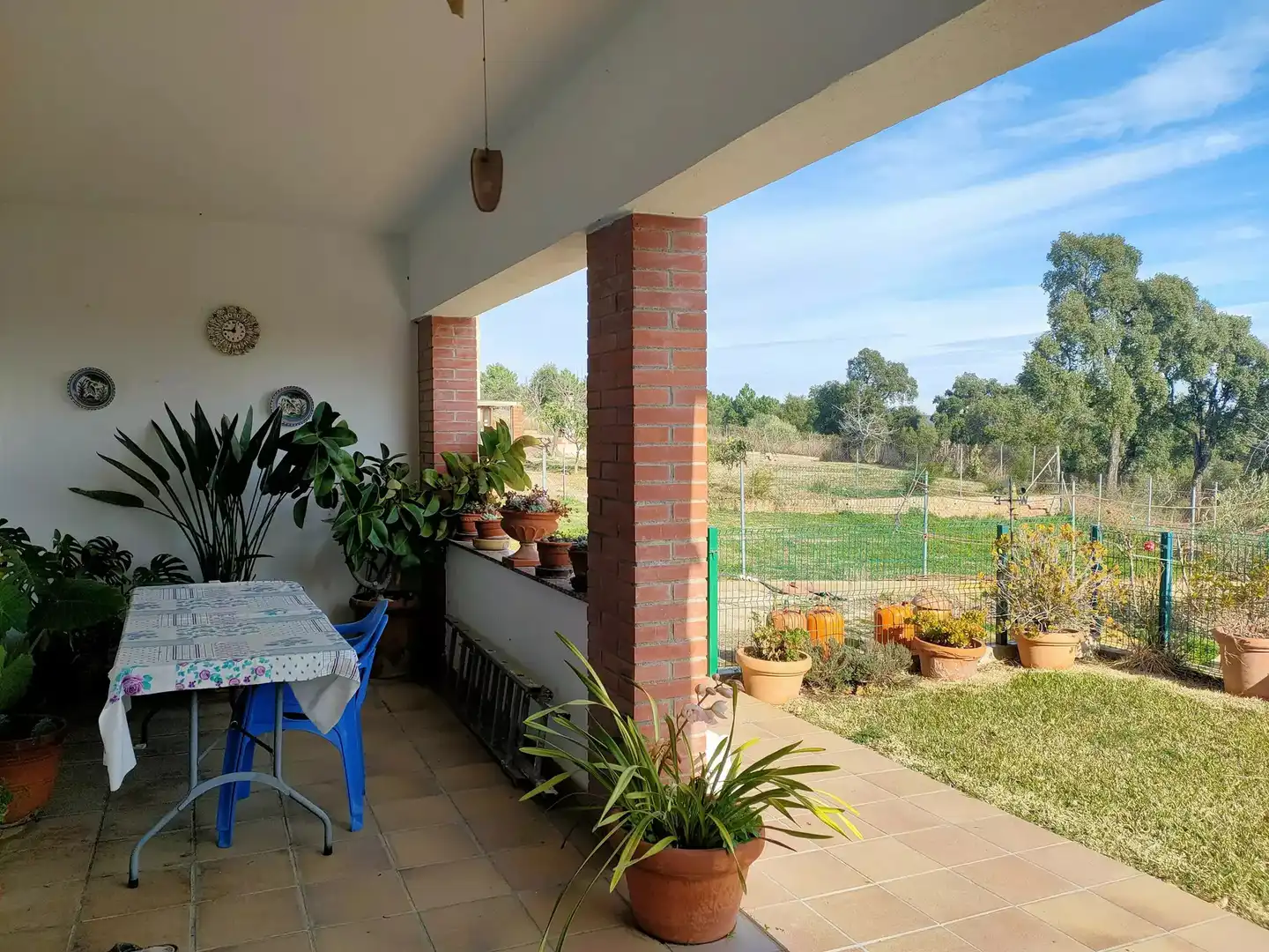Jardín de Casa o chalet en venta en Riudarenes con Terraza