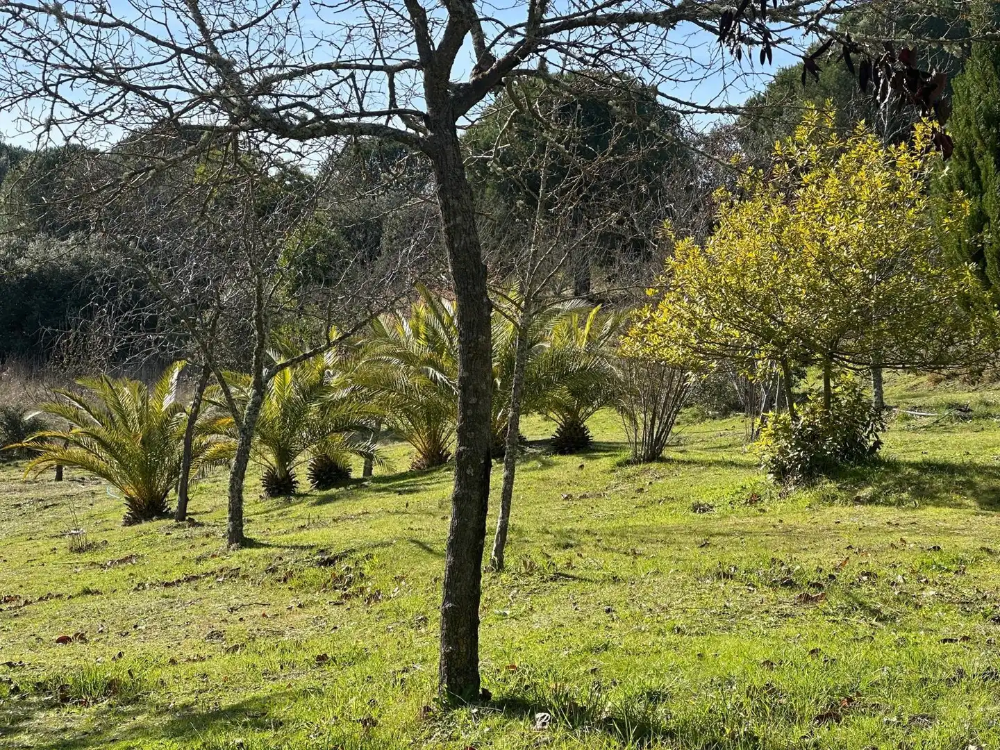 Casa o chalet en venta en Villaviciosa de Córdoba con Calefacción, Jardín privado y Terraza