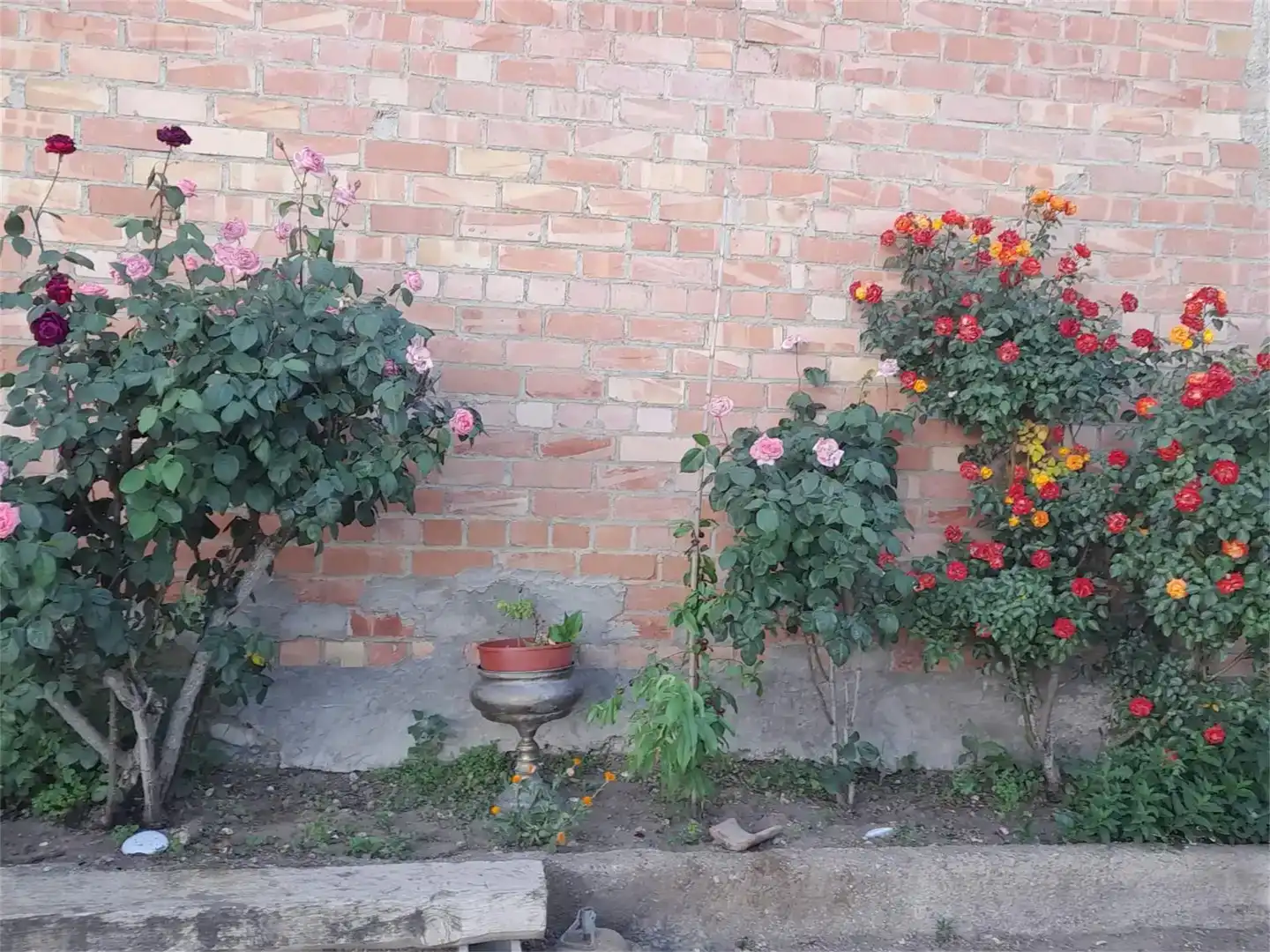 Jardí de Finca rústica en venda en Os de Balaguer