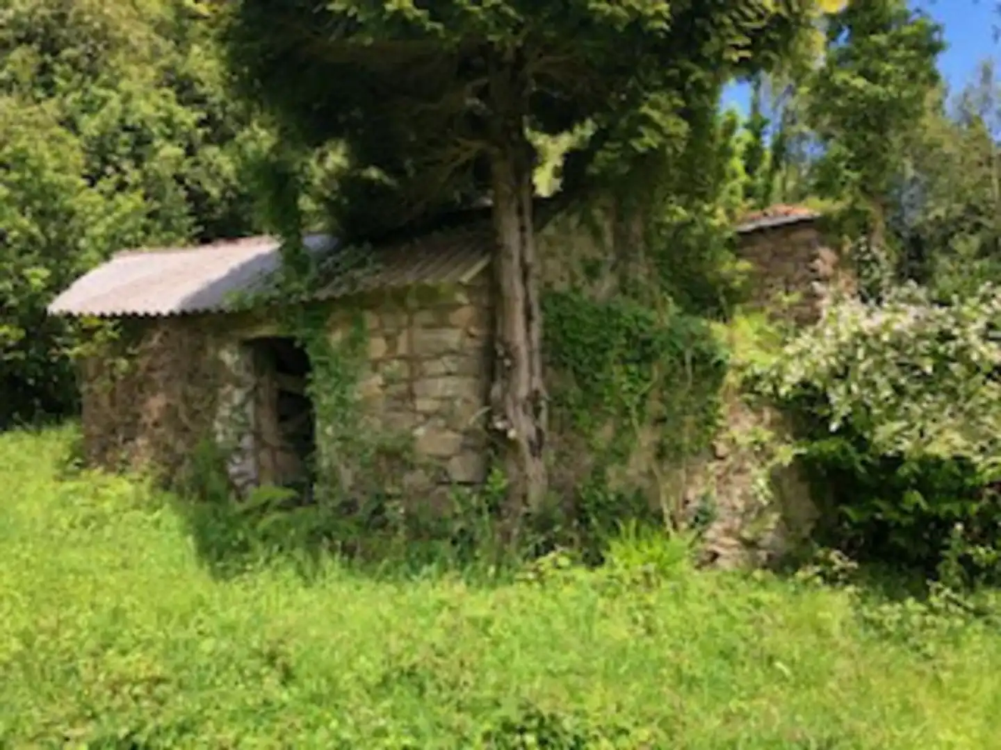 Country homes for sale in Ortigueira  with Private garden, Terrace and Storage room