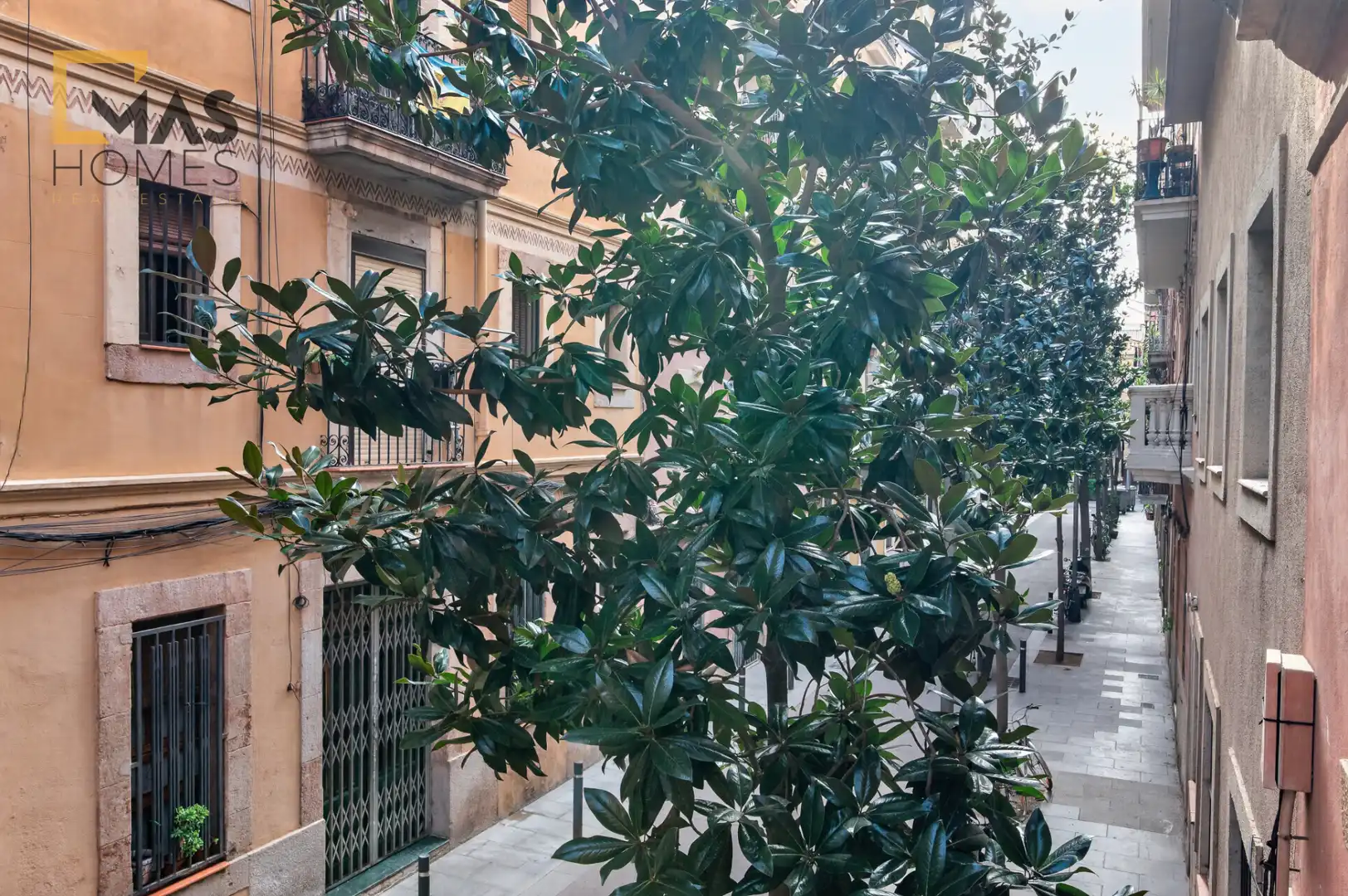 Exterior view of Buildings for sale in Ciutat Vella
