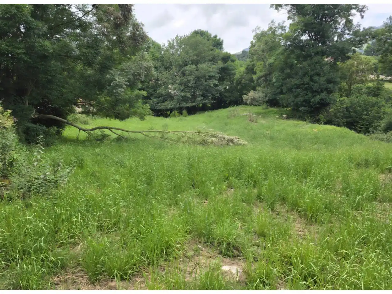Terreno en venta en Valderrey