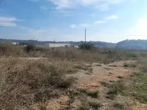 Rural land for sale in Vallmoll, imagen 7