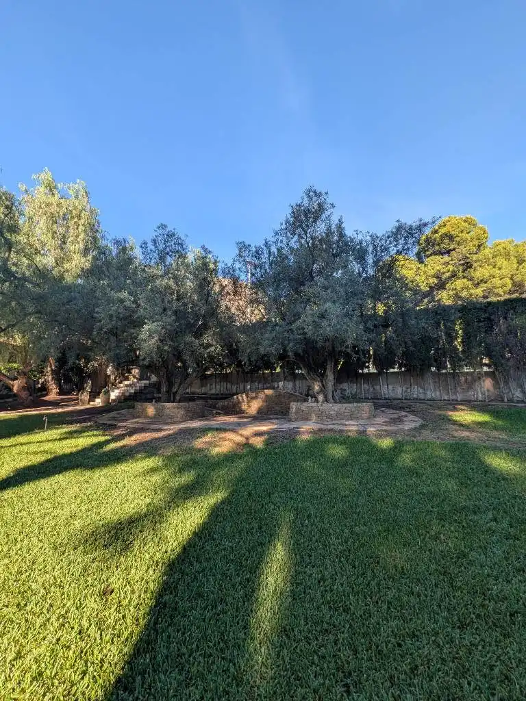 Garden of Houses for rent in Tibi  with Heating, Furnished and Internet