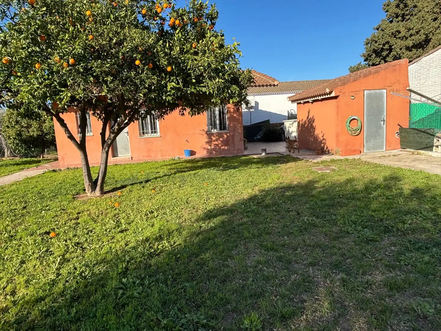 Terrenos y solares en venta en calle orquidia, imagen 24