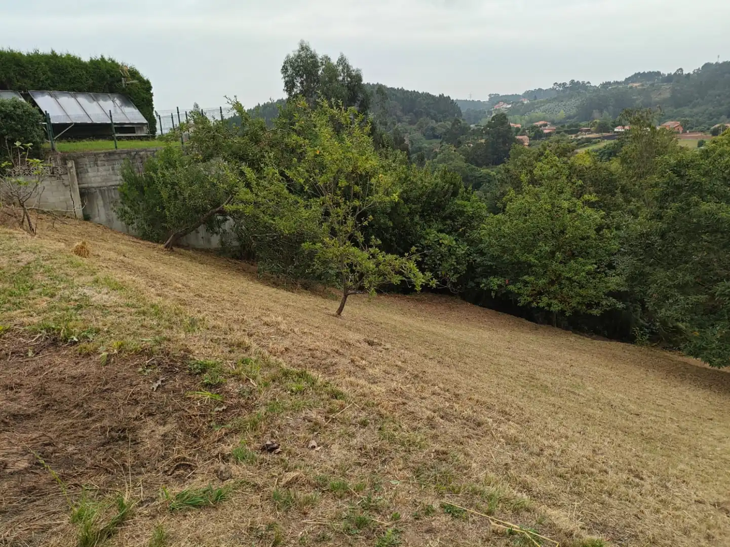 Houses for sale in Castrillón