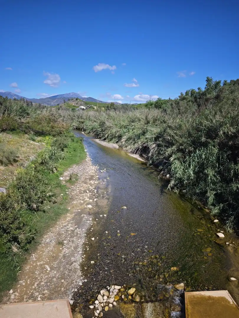 Vista exterior de Finca rústica en venda en Cártama