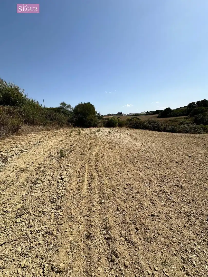 Rural land for sale in Conil, imagen 7