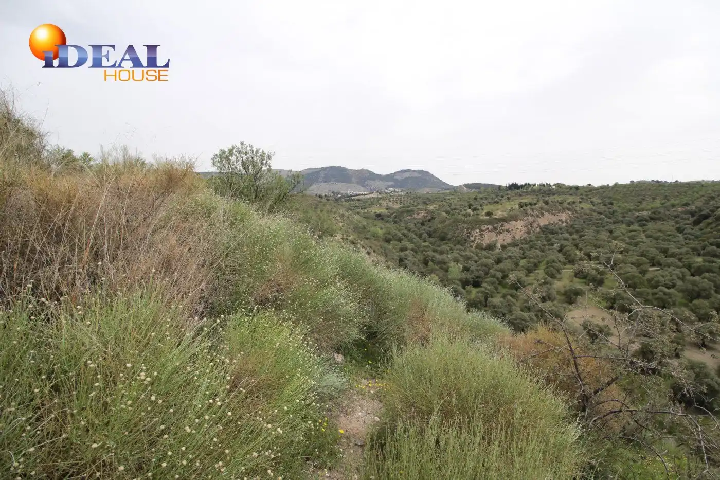 Country homes for sale in Víznar