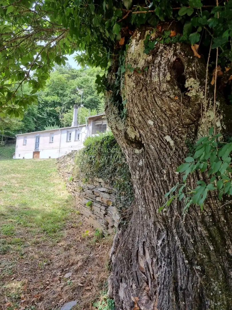Vista exterior de Casa o xalet en venda en A Pobra do Brollón  amb Jardí privat
