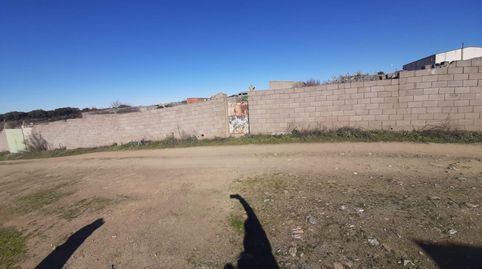 Parcela en Botija, immagine 2