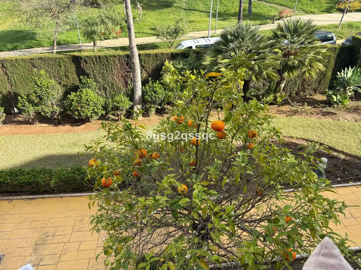 Garden of Flat for sale in Estepona  with Air Conditioner, Furnished and TV
