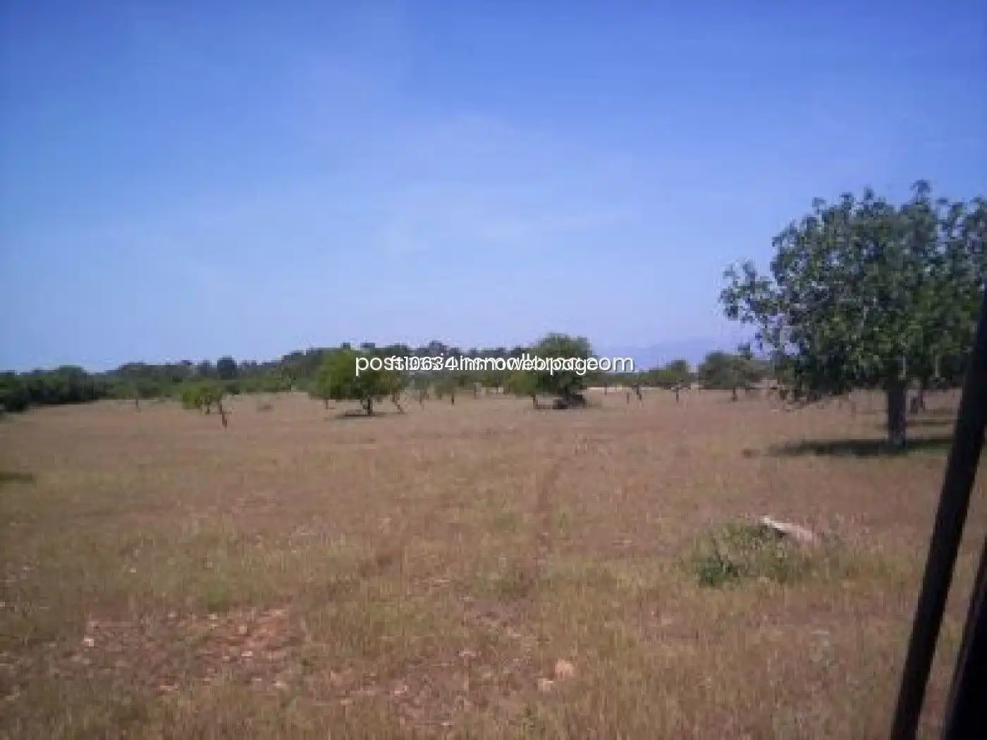 Terreno rustico in vendita a Algaida, imagen 14