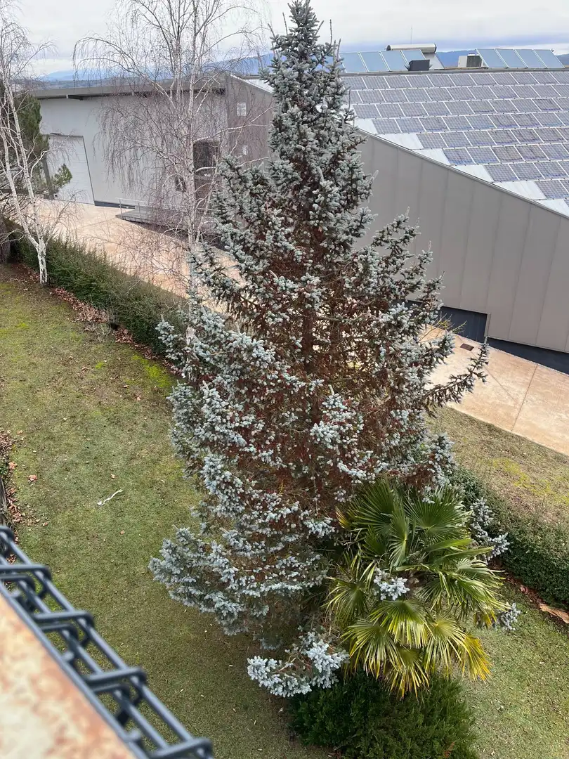 Garten von Gebäude zur Miete in Vitoria - Gasteiz