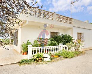 Vista exterior de Finca rústica en venda en Elche / Elx amb Terrassa