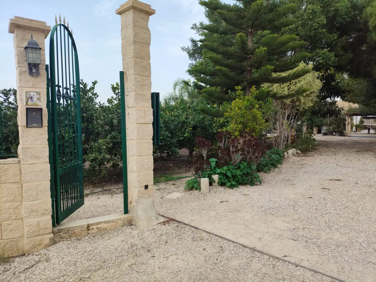 Casa o xalet en venda en Elche / Elx amb Jardí privat i Moblat