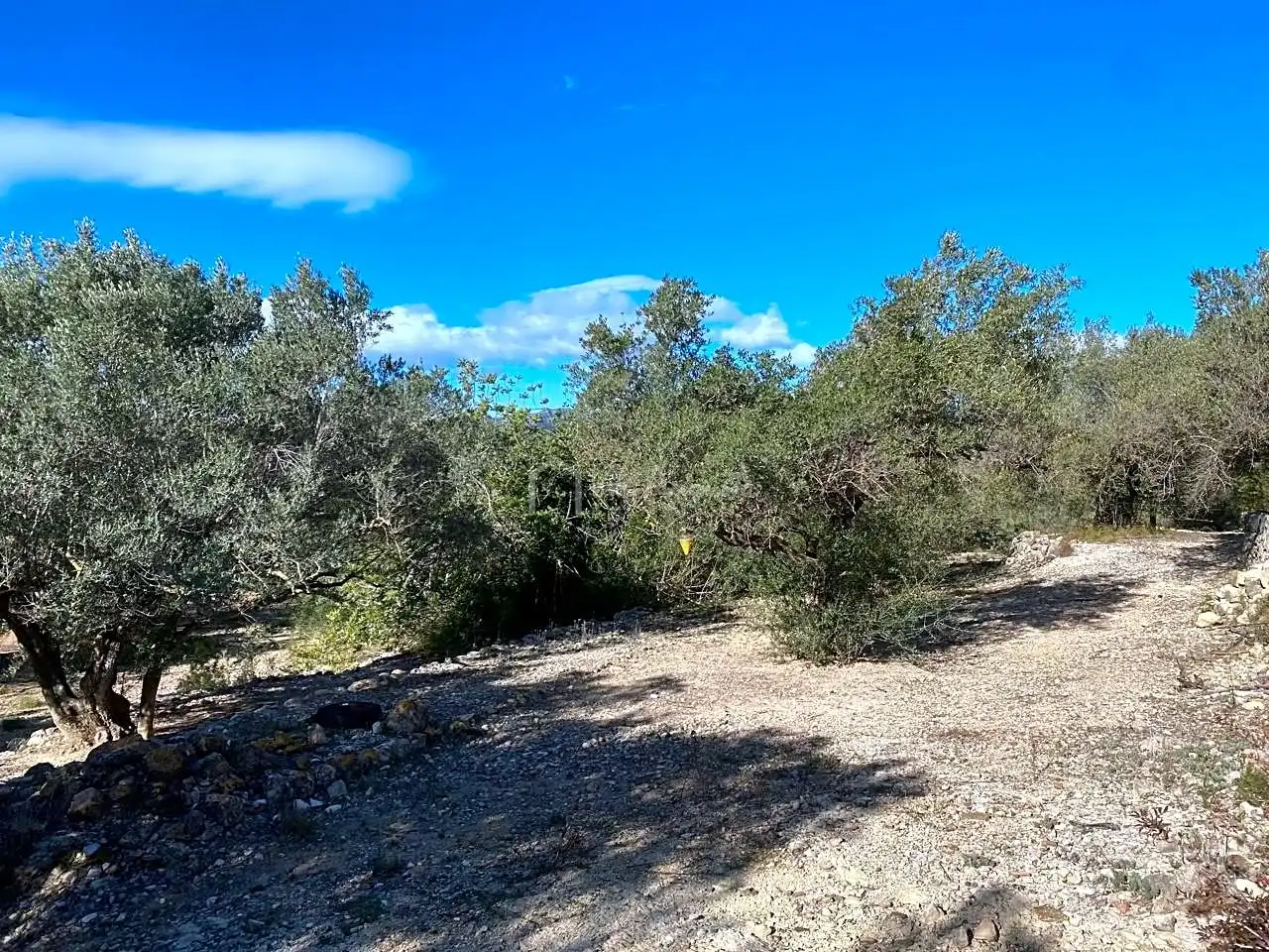 Terreno rustico in vendita a Aubachs, imagen 24