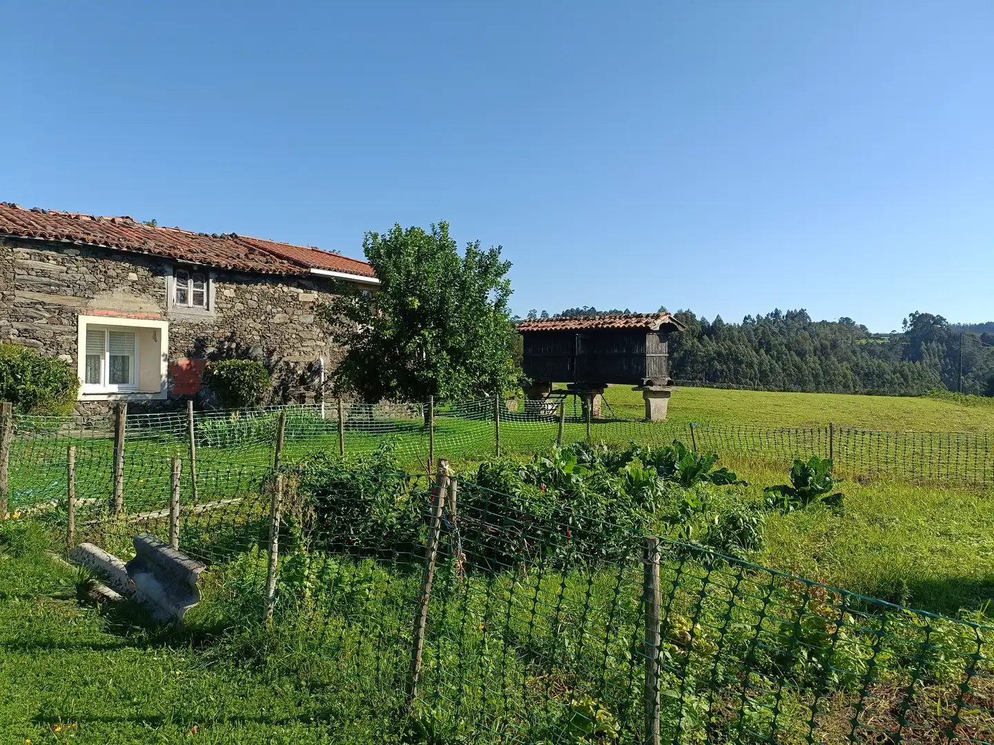 Garten von Haus oder Chalet zum Verkauf in Oza dos Ríos mit Privatgarten und Abstellraum