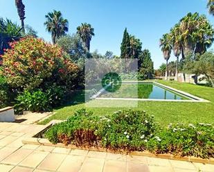 Jardí de Casa o xalet en venda en Badajoz Capital amb Terrassa i Piscina