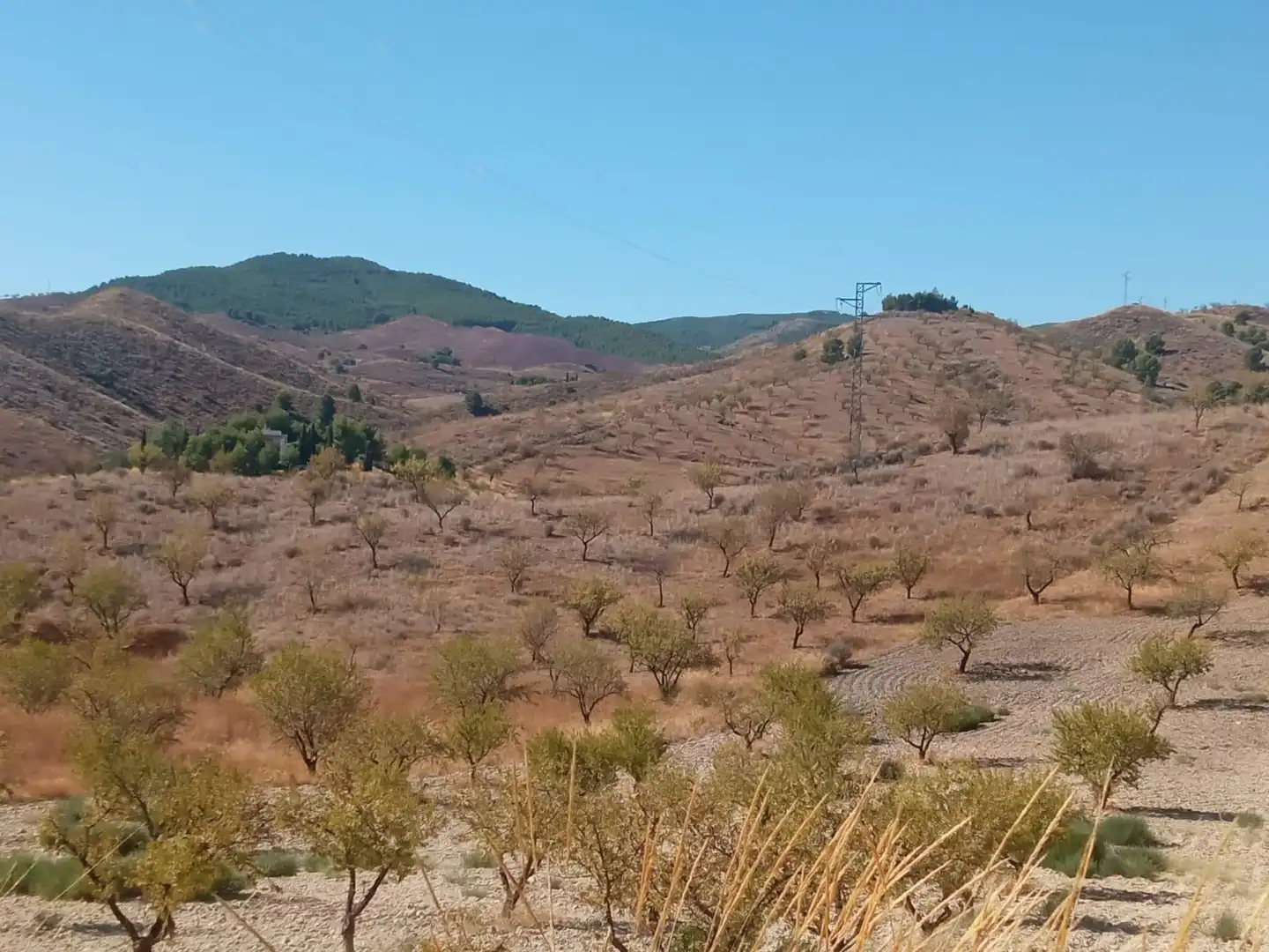 Terrains et parcelles à vendre à Pedanías Norte