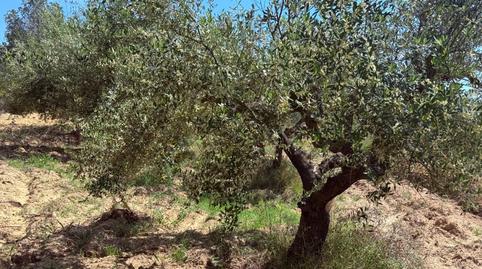 Photo 2 of Residential for sale in Vespella de Gaià, Tarragona