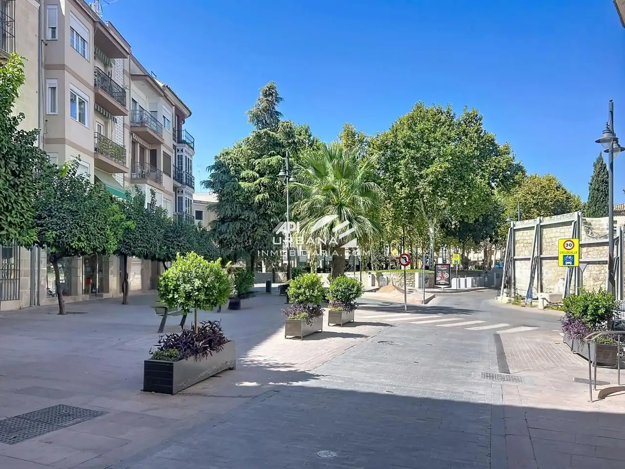 Business premises for sale in Calle Francisco de Paula Cortés (Ballesteros), imagen 21
