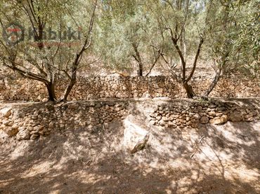 Terreny rústic en venda a Pinar El - Pantano de Beznar