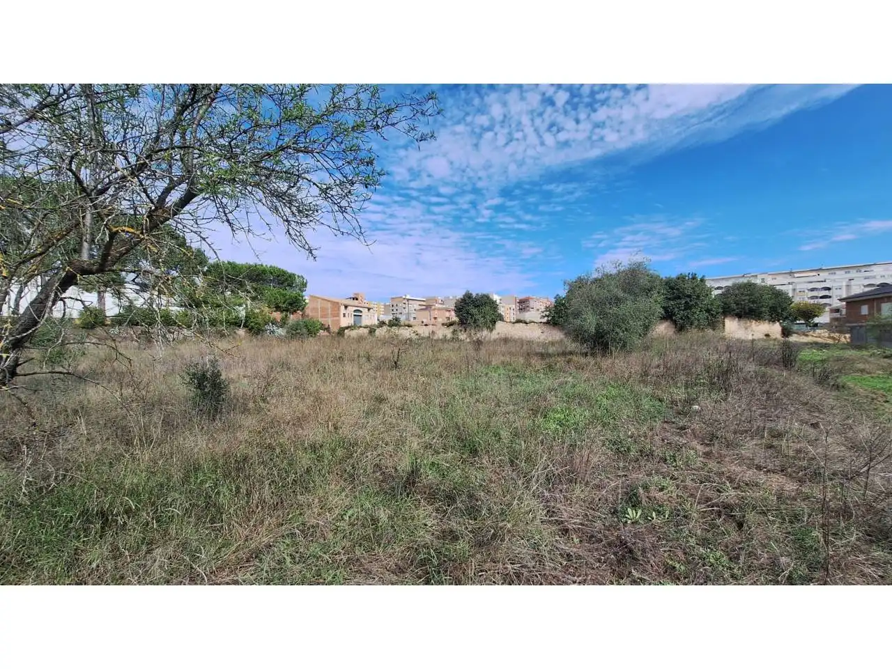 Terreno industrial en venta en Cami El Ras, imagen 10