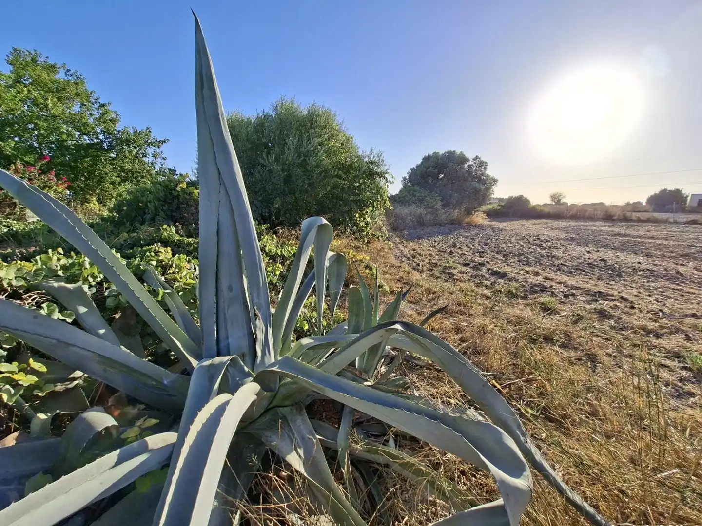Finca rústica en venda en Chiclana de la Frontera