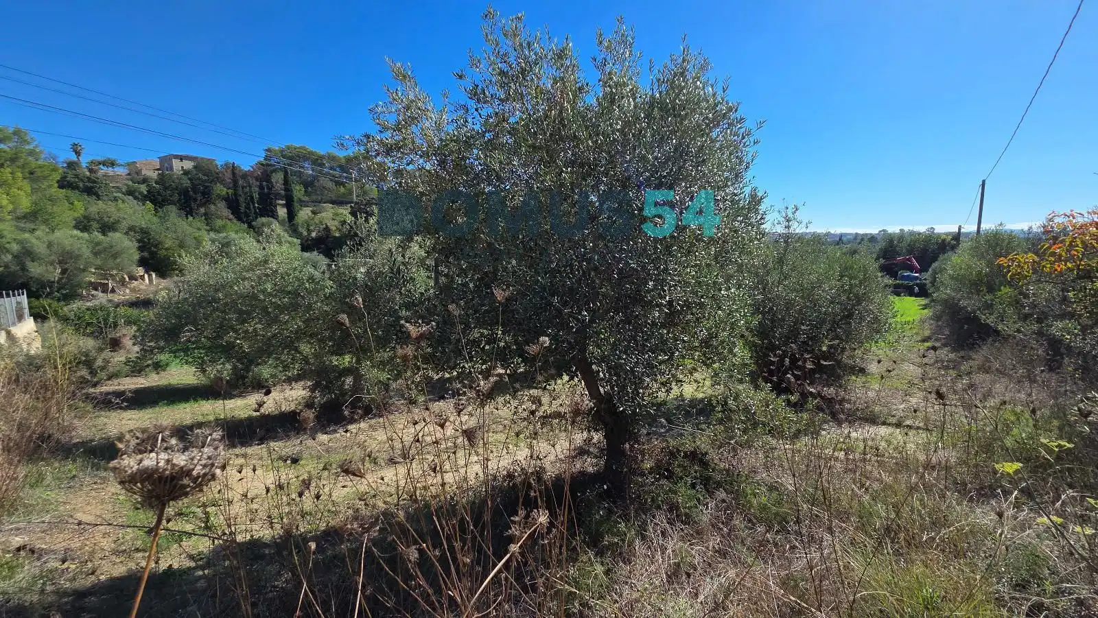 Terreno en venta en Campanet