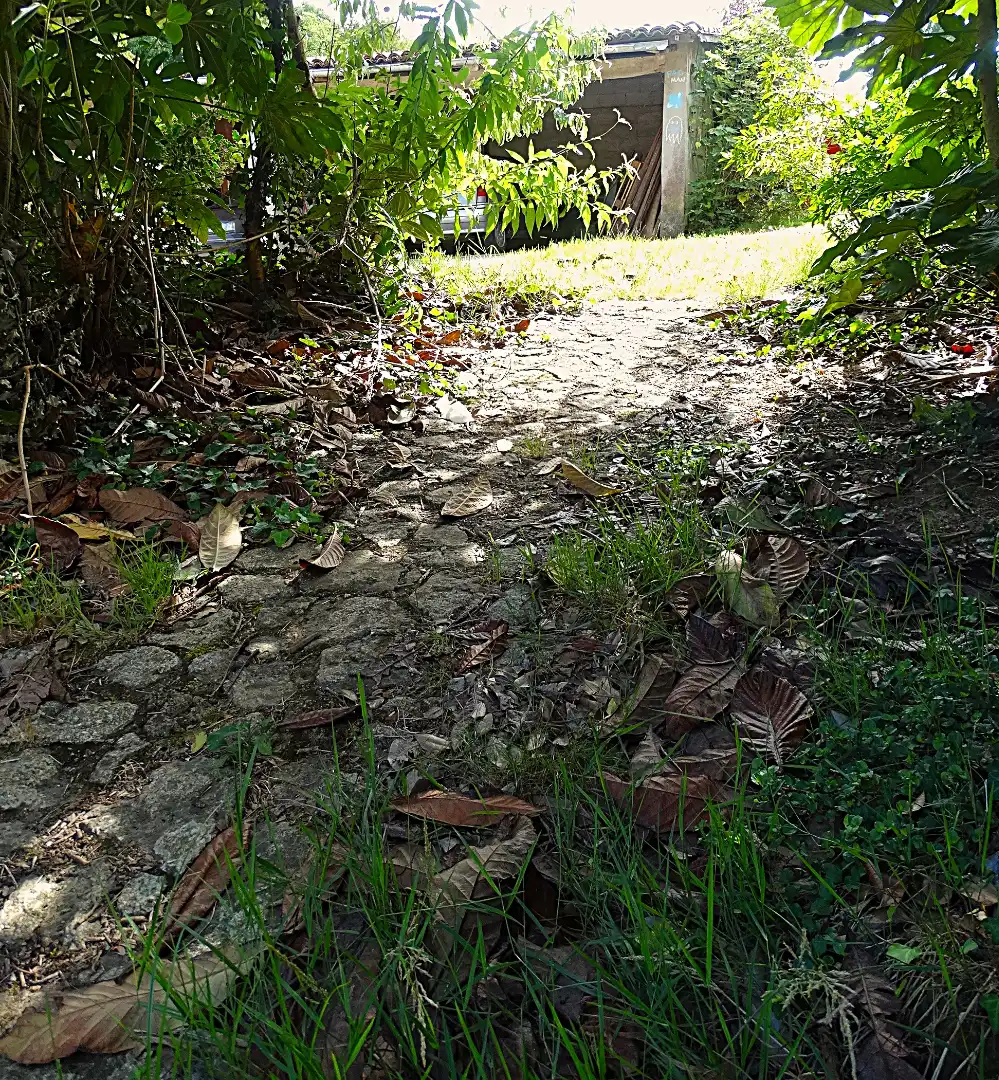 Vista exterior de Finca rústica en venda en Narón amb Calefacció, Jardí privat i Parquet