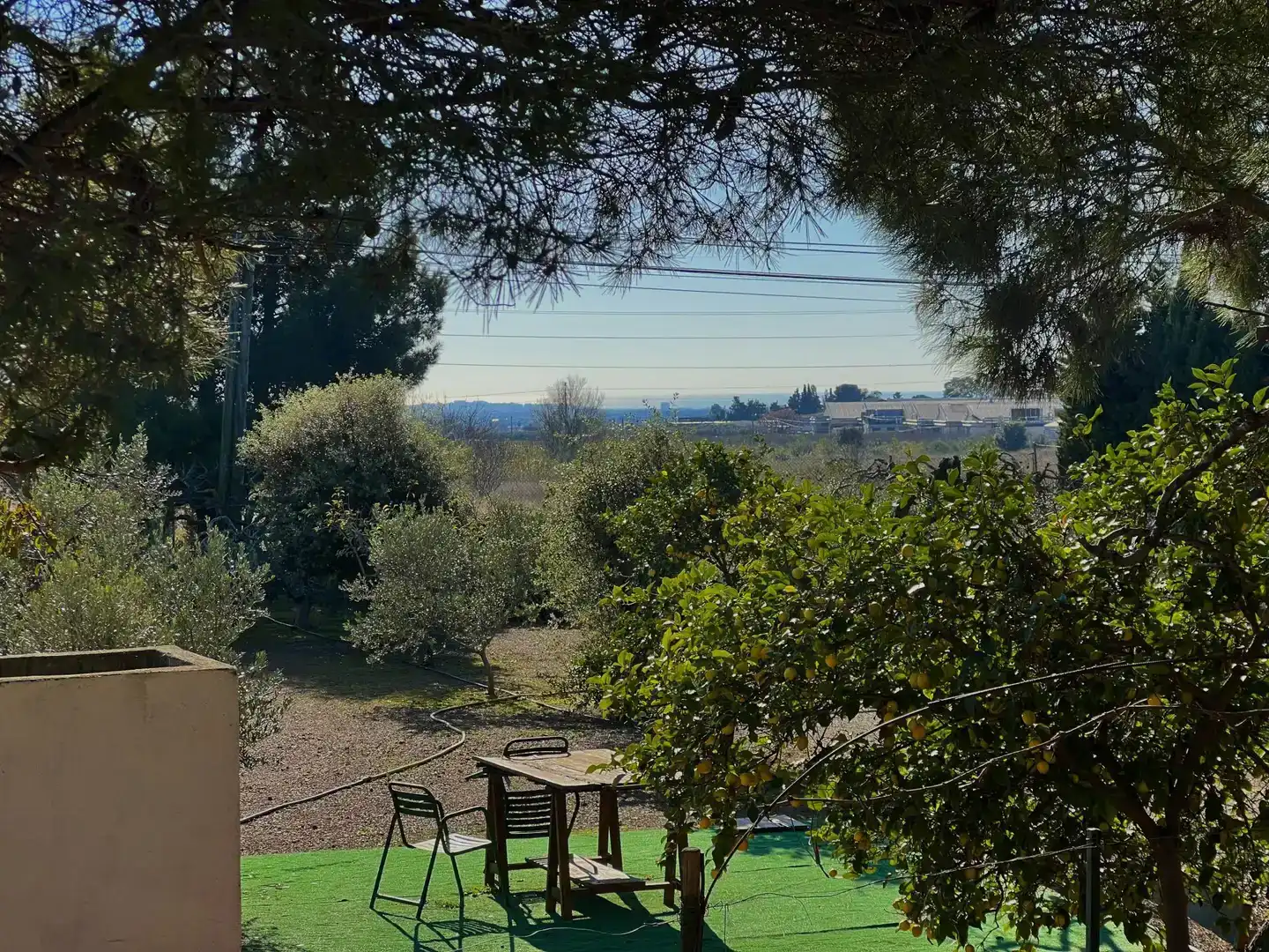 Jardín de Casa o chalet en venta en Reus