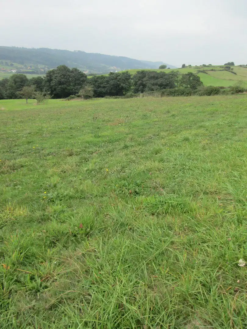 Terreno rustico in vendita a Carreño, imagen 4