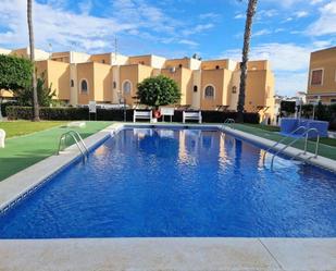 Swimming pool of Duplex for sale in Torrevieja  with Terrace, Storage room and Swimming Pool