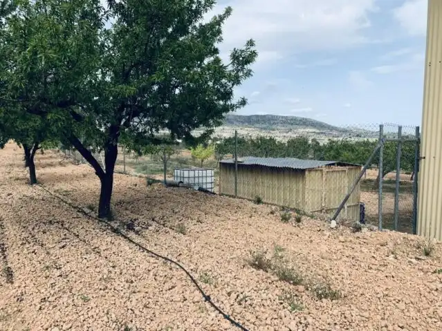 Terreny rústic en venda a La Romana, imagen 7