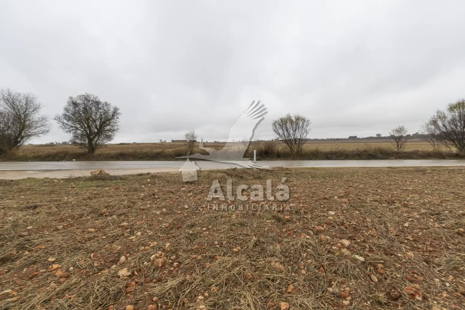 Rural land for sale in Pezuela de las Torres, imagen 13
