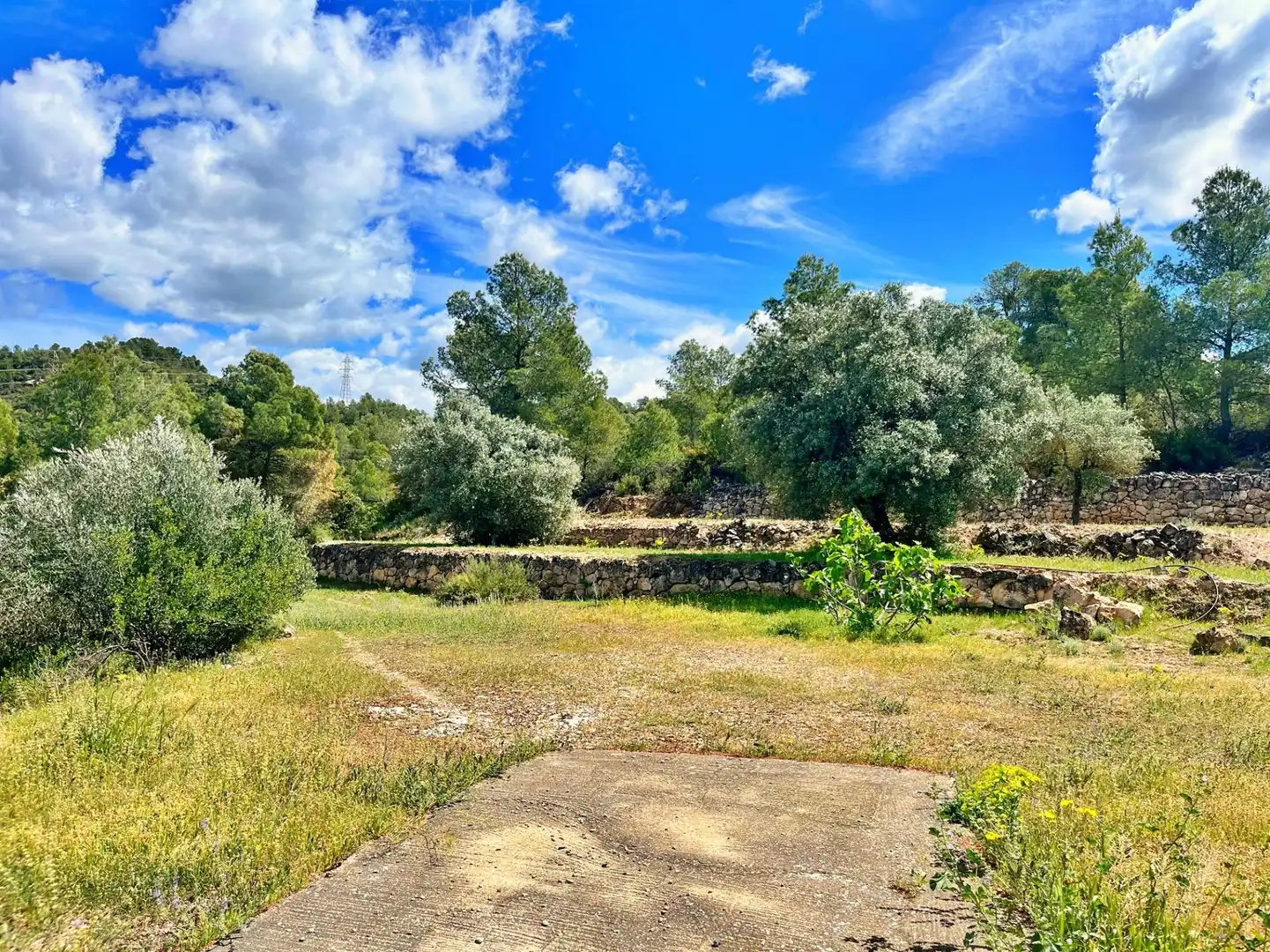 Houses for sale in Flix