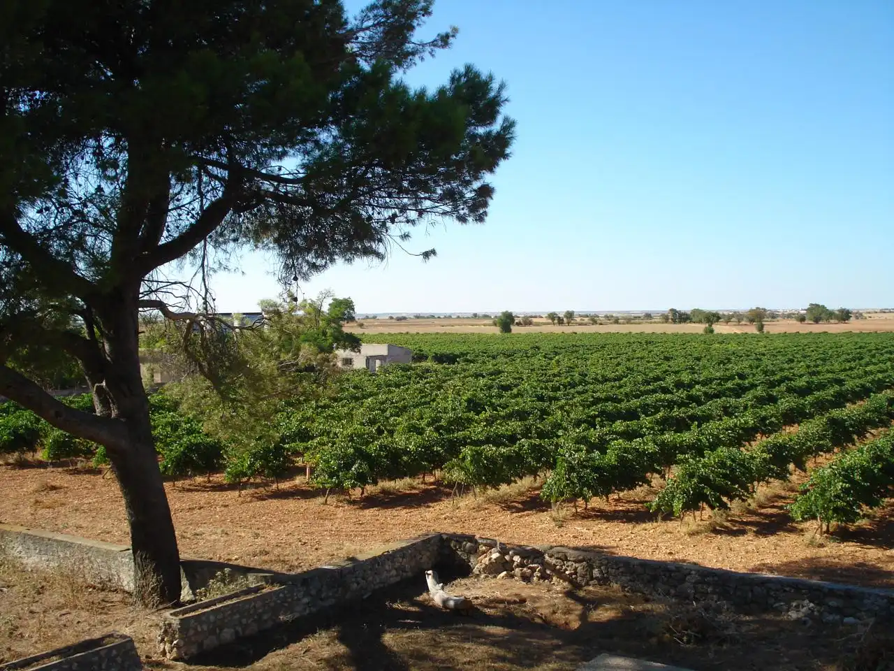 Finca rústica en venta en Pozorrubio de Santiago con Jardín privado, Piscina y Sauna