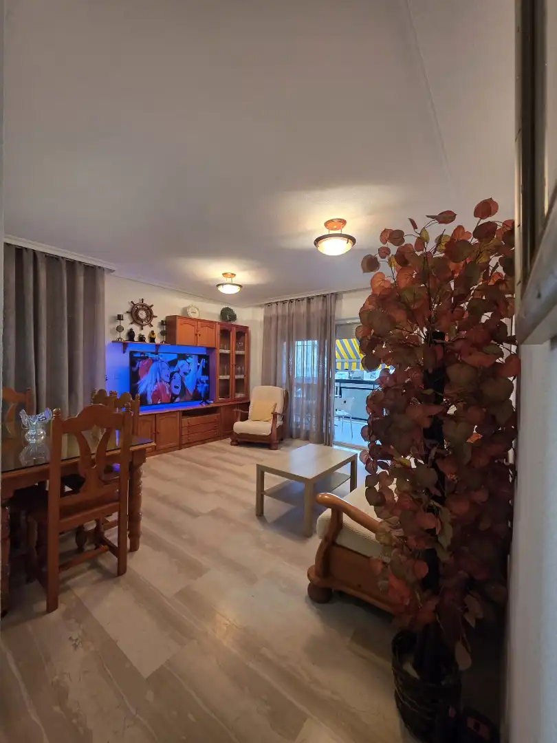 Living room of Apartments for rent in Fuengirola  with Air Conditioner, Terrace and Furnished