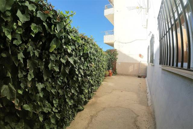 Piso en Alquiler en Calle Vicente Paredes Guillen en Los Pinos - El Pilar