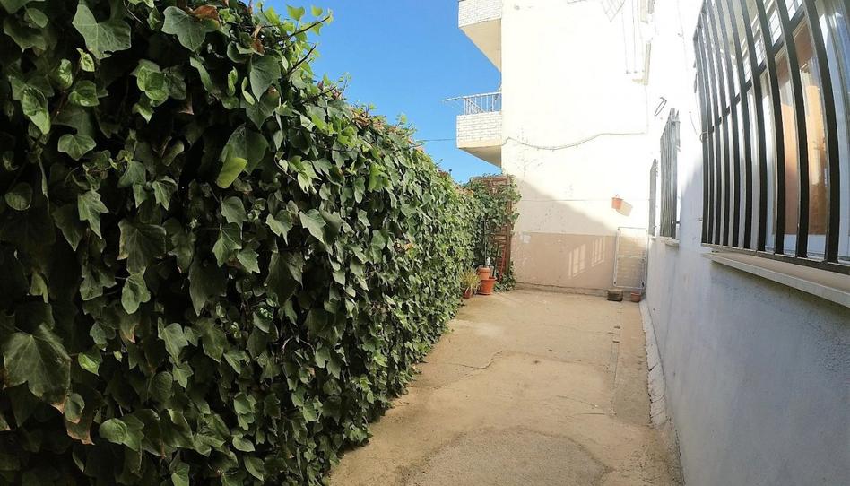 Photo 1 of Flat to rent in Calle Vicente Paredes Guillen, Los Pinos - El Pilar, Cáceres