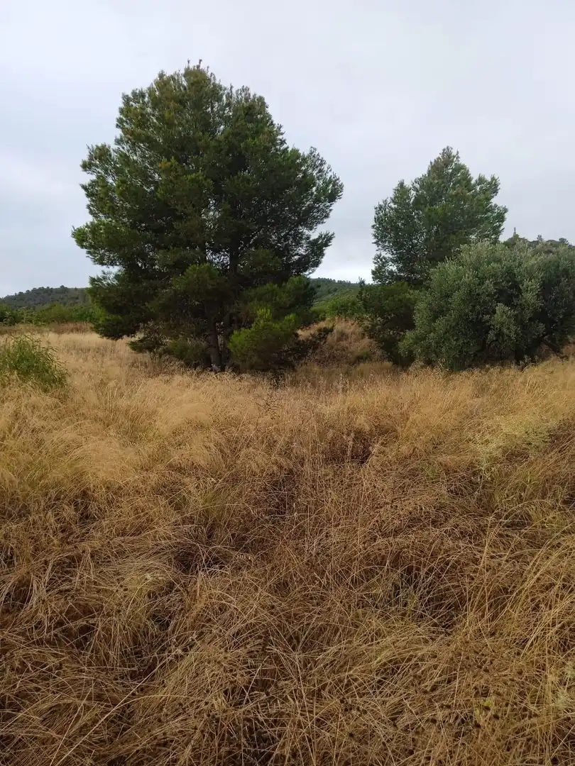 Residential land for sale in Pedanías Norte, imagen 4