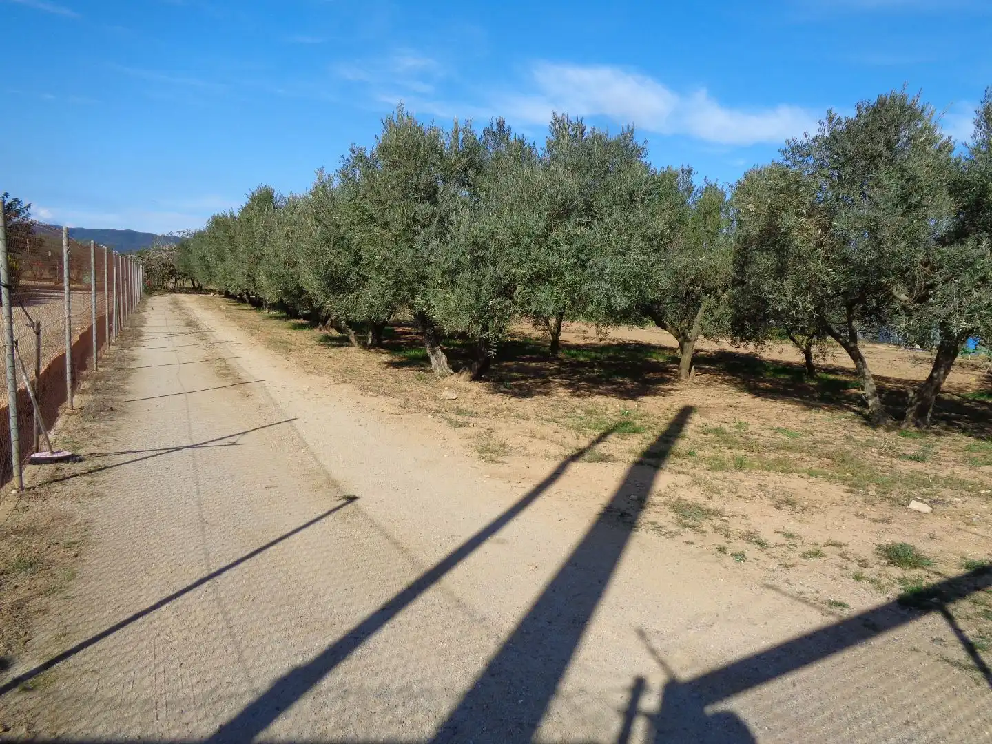 Land for sale in Calonge i Sant Antoni