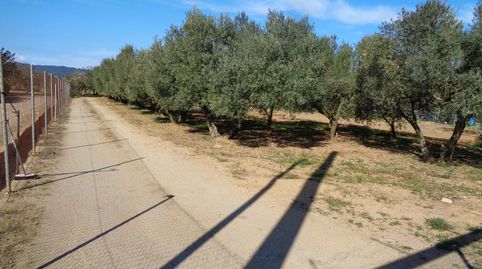 Photo 4 of Land for sale in Carrer Atenes, 9, Puig Ses Forques - Torre Colomina, Calonge i Sant Antoni