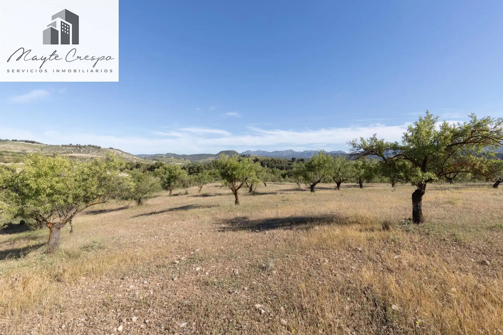 Casa rústica con terraza en venta en Calle GR-3307, Arenas del Rey, Granada GR-3307, imagen 51
