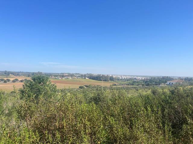 Terreno residencial en Venta en Gibraleón