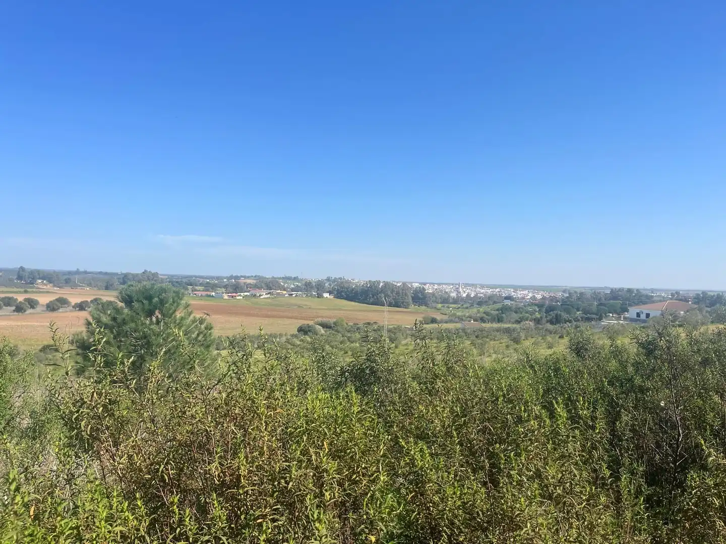 Residencial en venta en Gibraleón