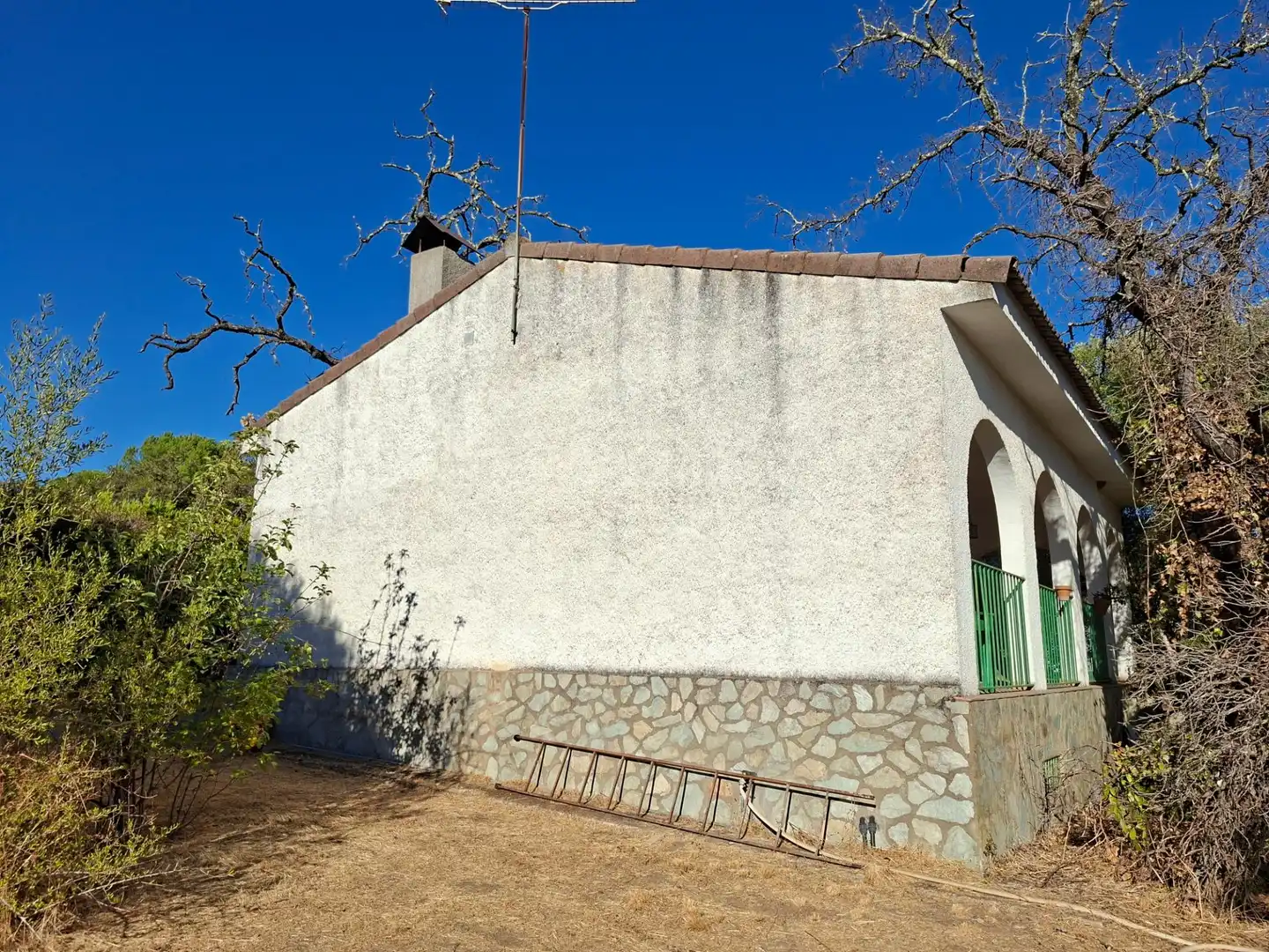 Vista exterior de Casa o chalet en venta en Guillena con Aire acondicionado, Jardín privado y Terraza