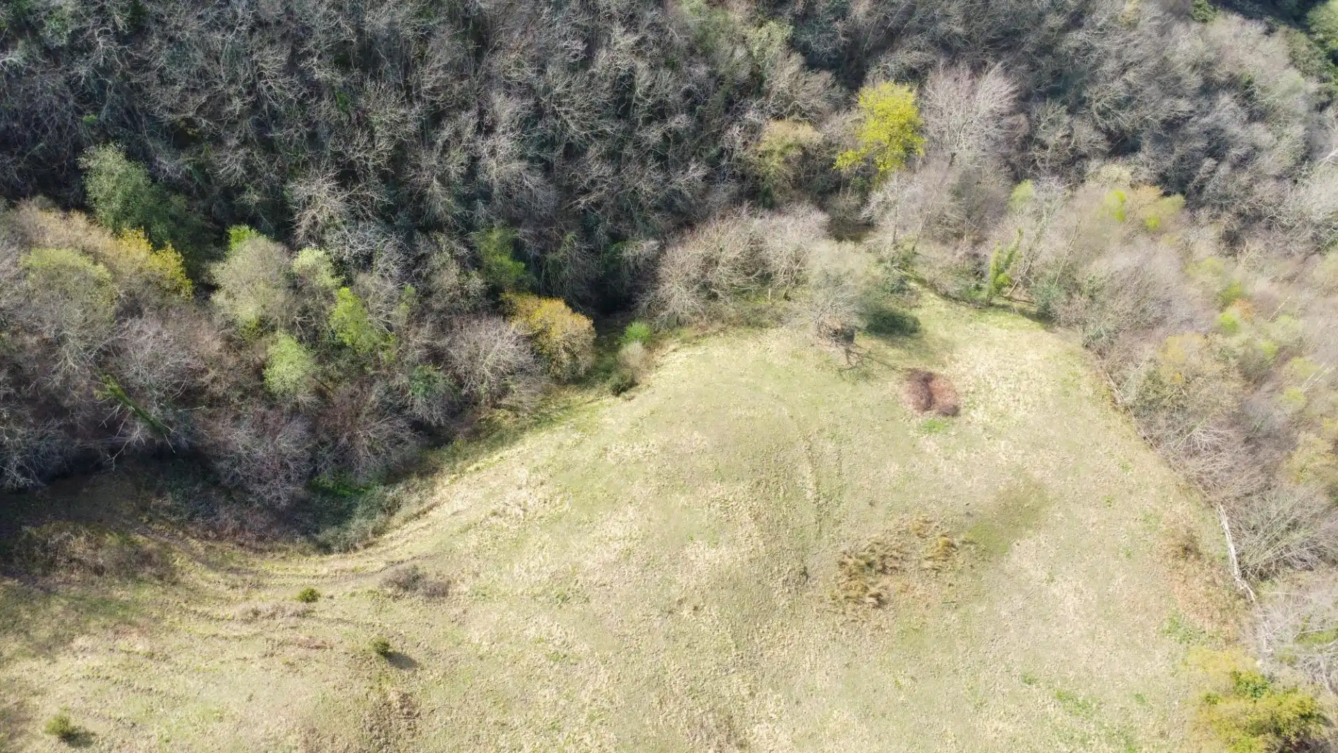 Land for sale in Riosa