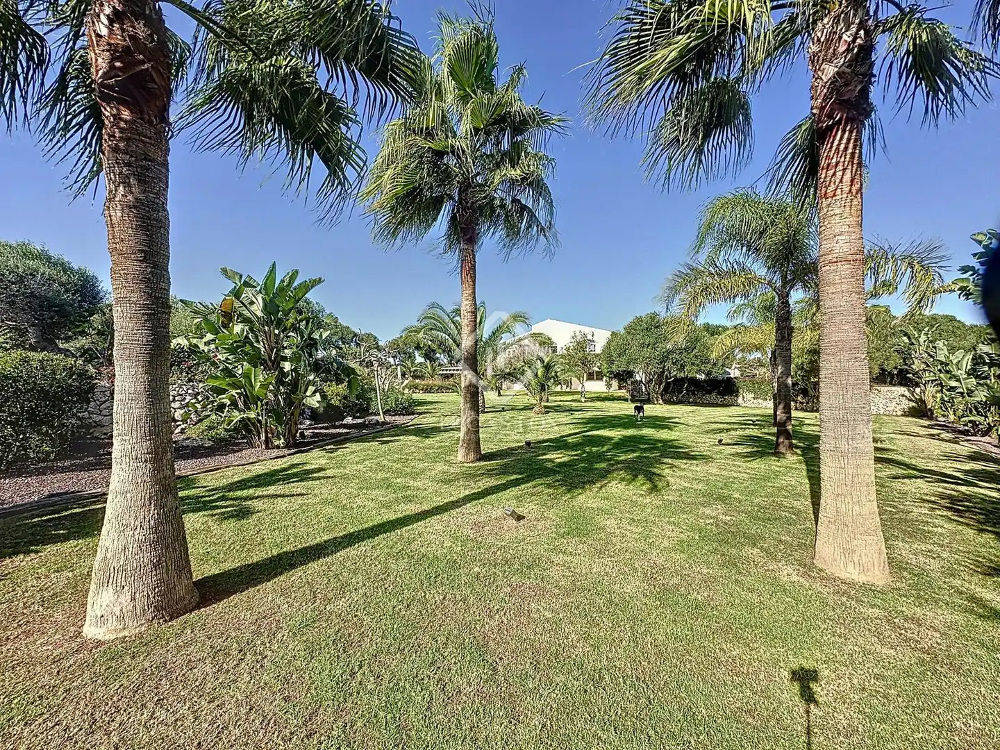 Casa rustica con terrazza in vendita a Sant Lluís - S'Ullestrar - Torret, imagen 13